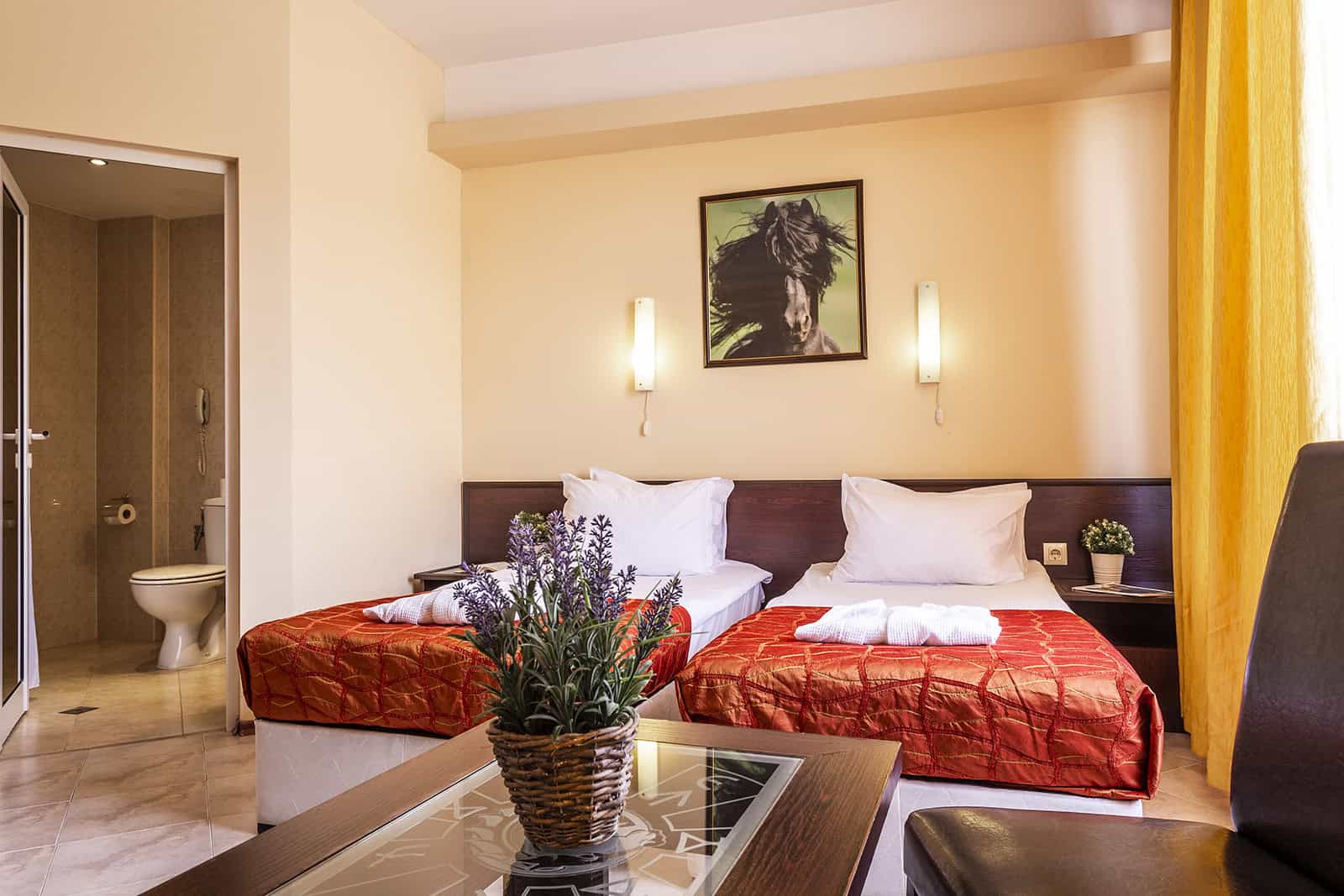 Room, Double Bed, No Balcony