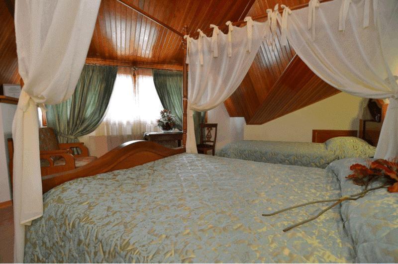 HOTEL APOLLON METSOVO 24/49