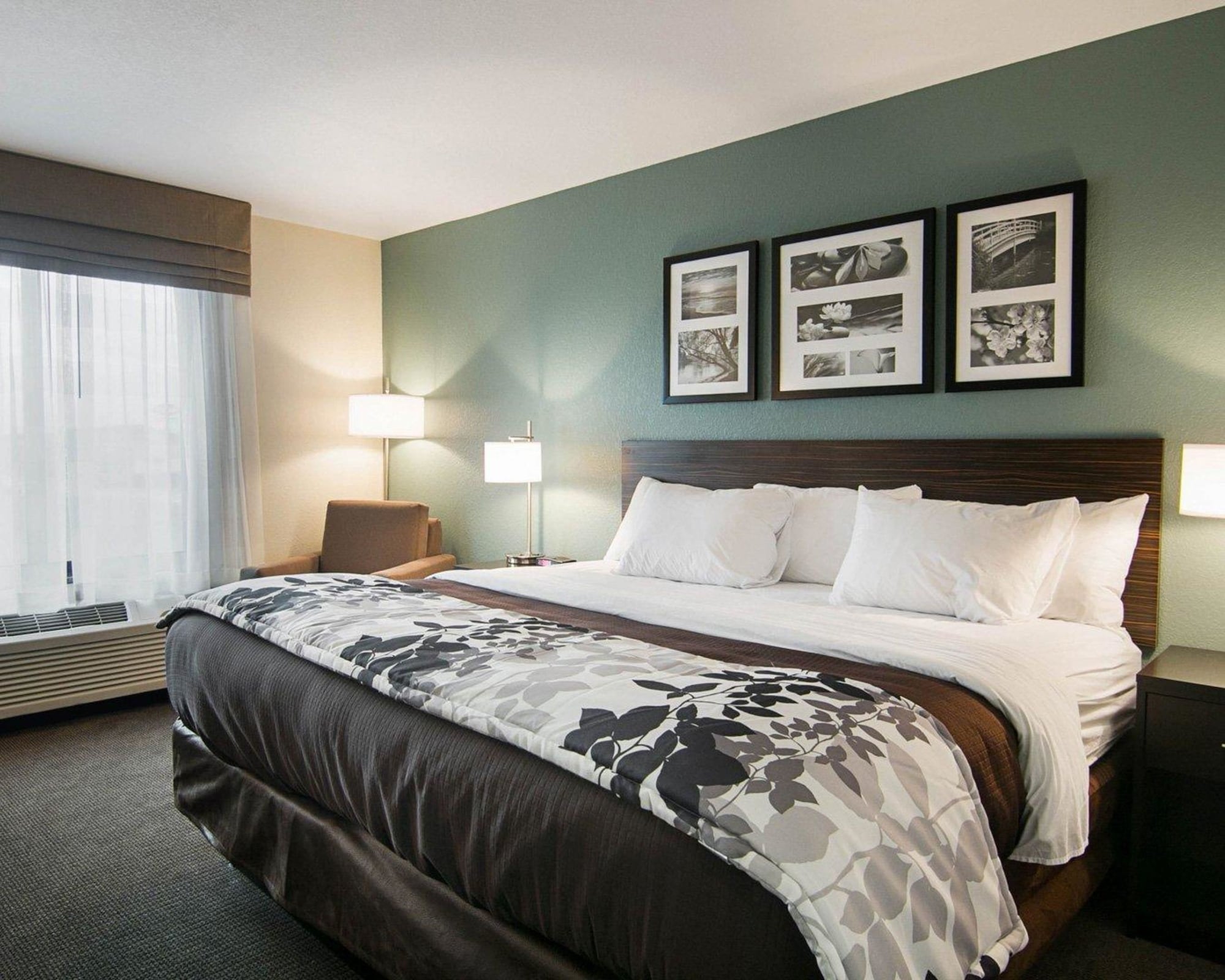 Room, King Bed, Accessible