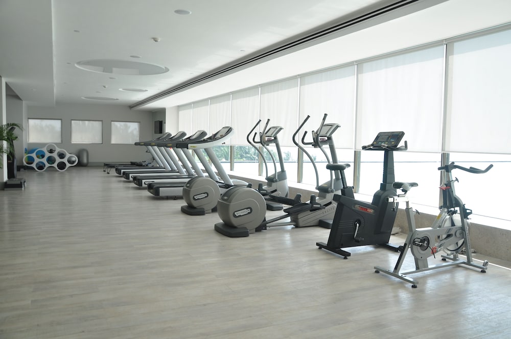 TAJ LANDS END 43/84