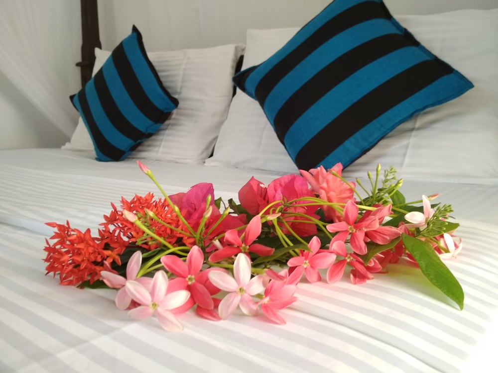 Sigiriya Danu Homestay 8/41