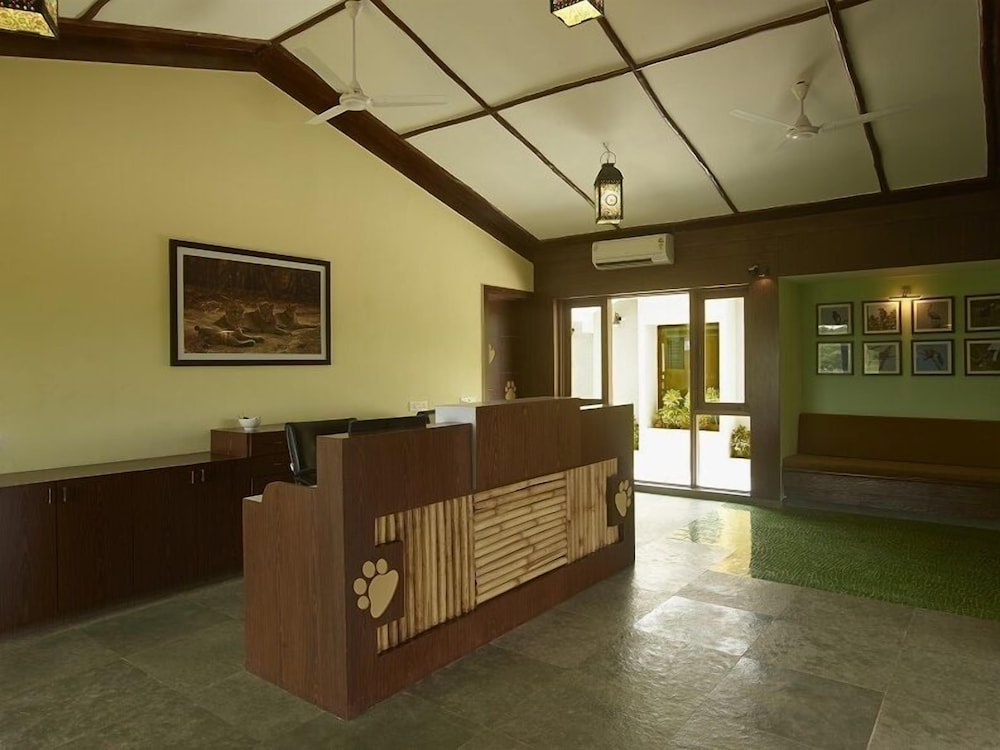 Asiatic Lion Lodge 5/50
