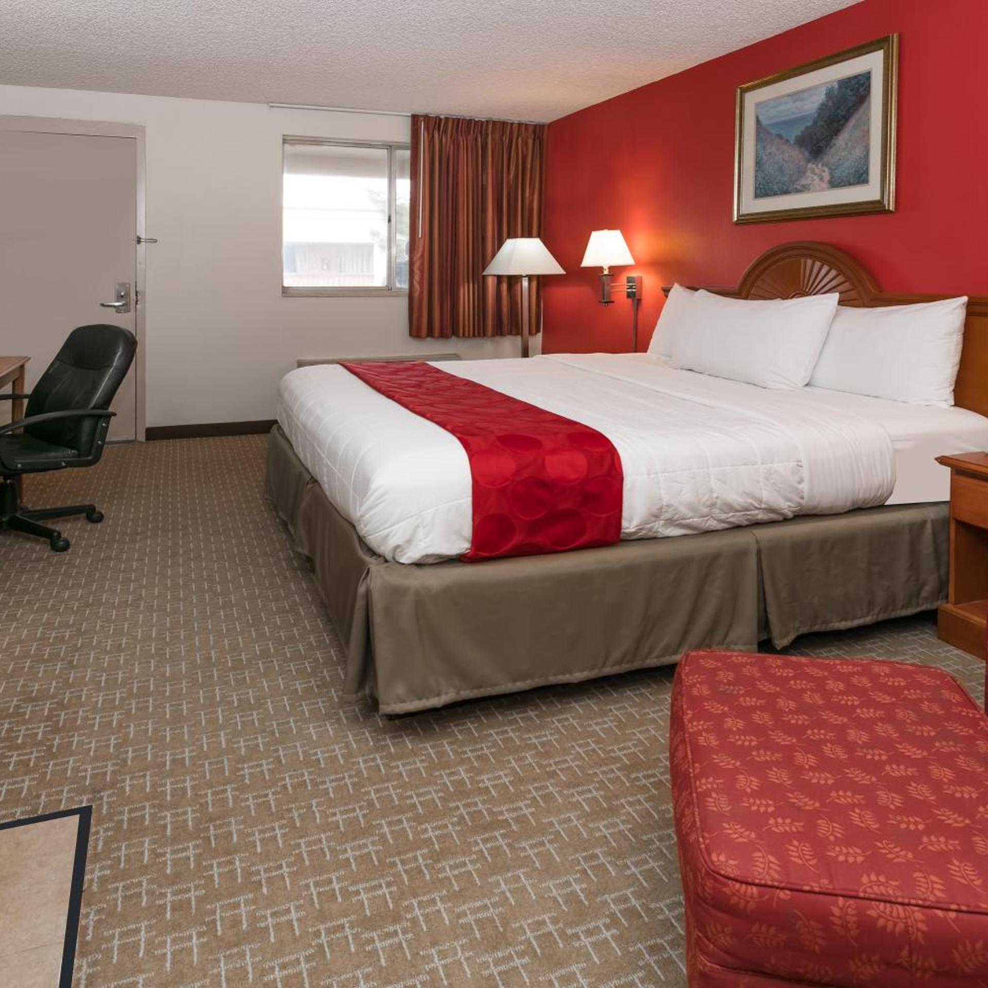 Room, King Bed, Bathtub, Accessible