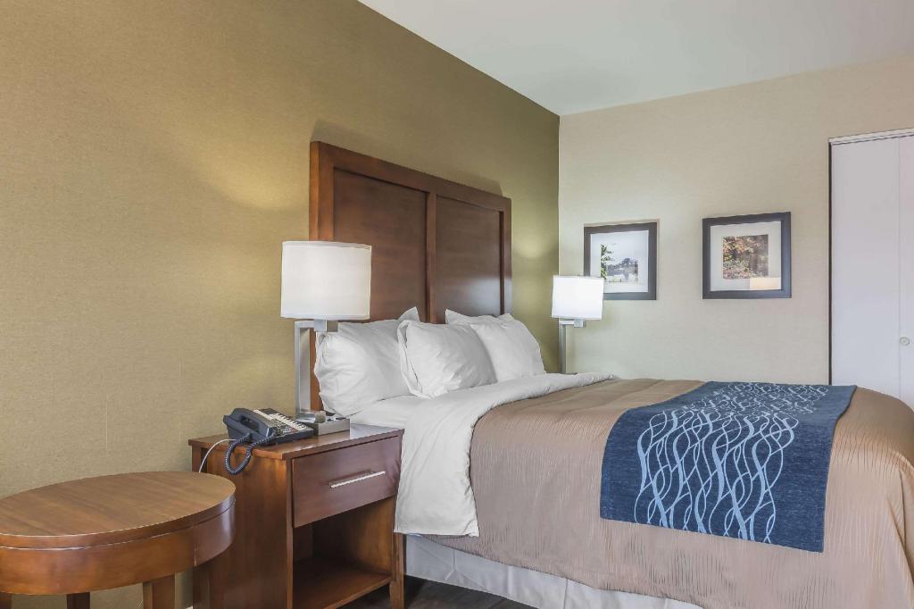 Upgrade, Suite, King Bed