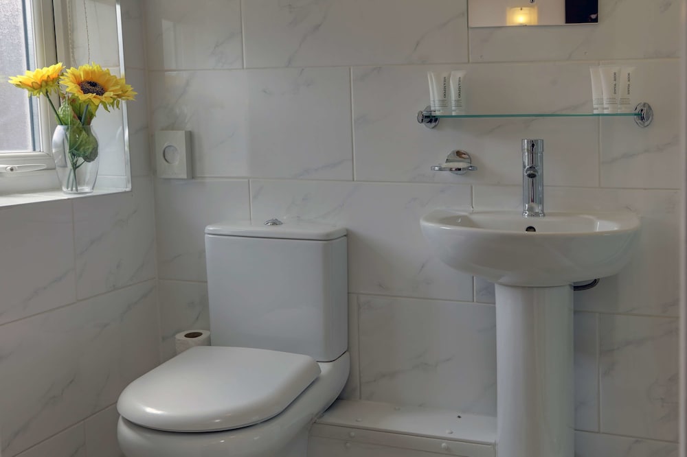 Best Western Greater London Hotel 22/52