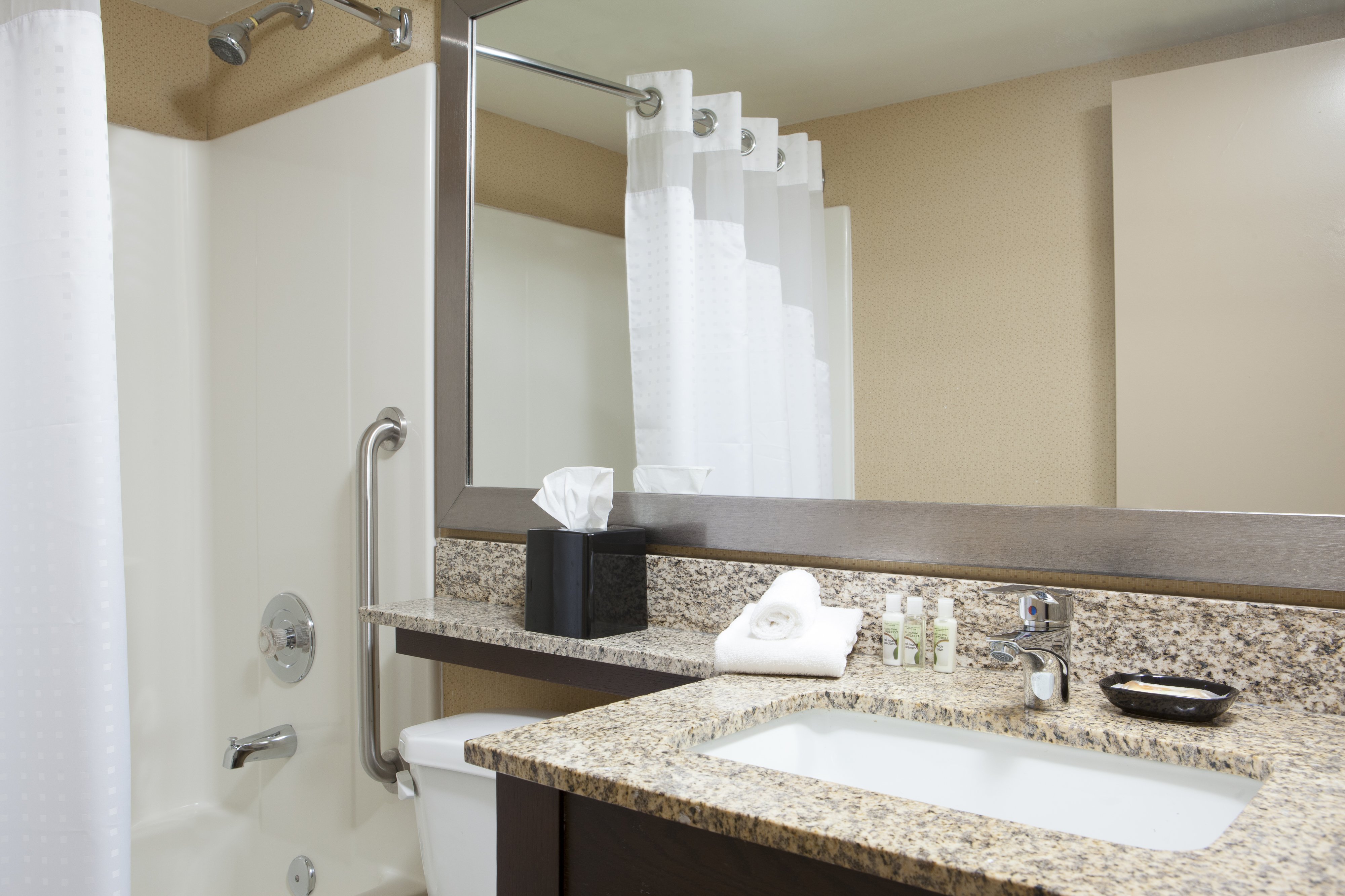 1 Bedroom, Suite, King Bed, Living and Dining Areas