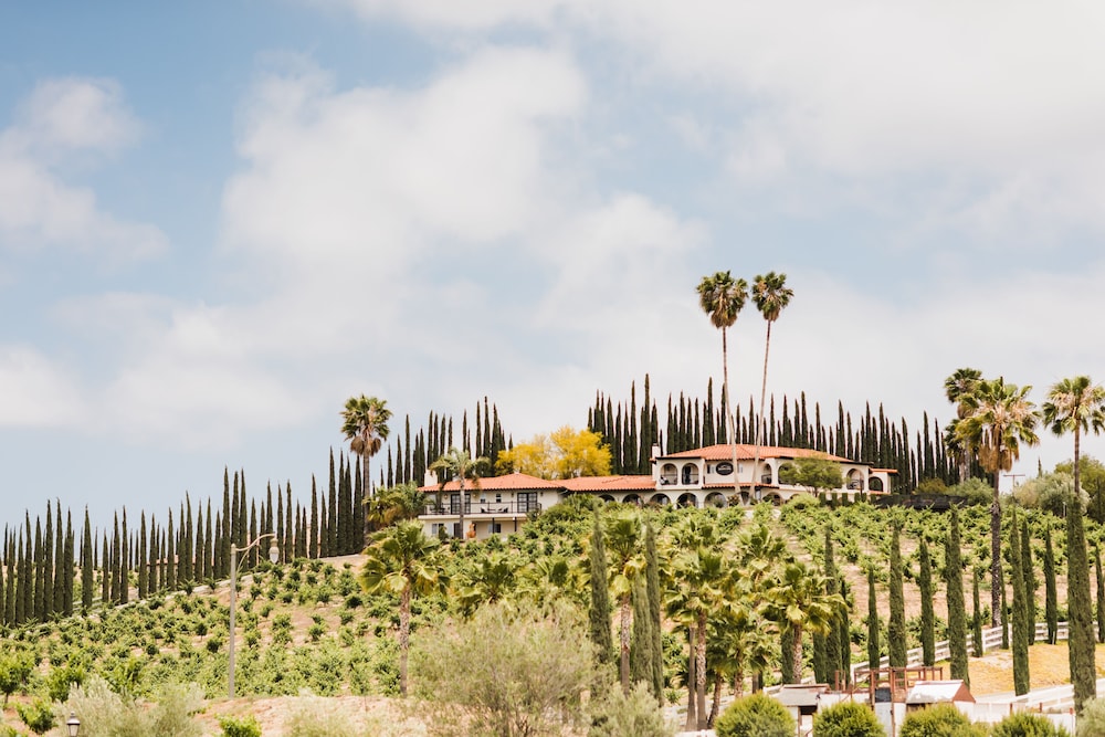 Europa Village Wineries and Resort 39/50