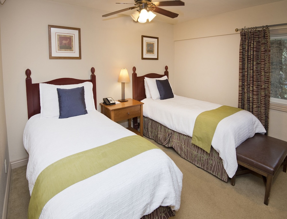 Falcon Point 13/50