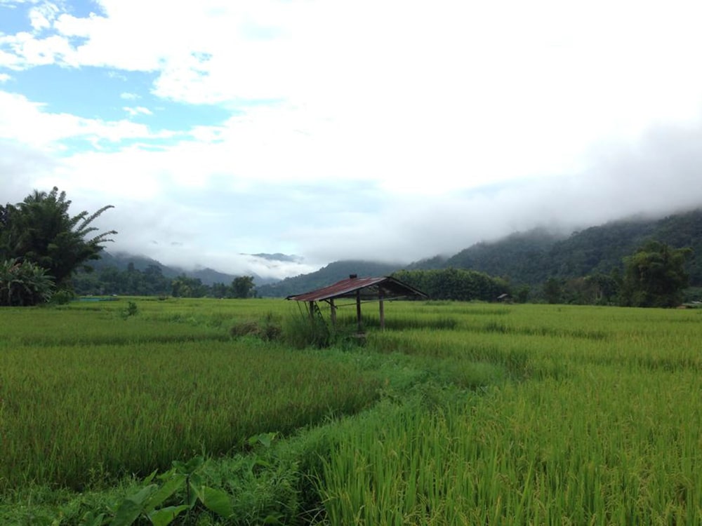 Boklua View Resort 31/34