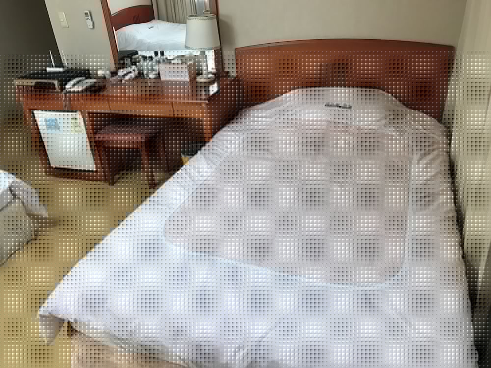 Busan Central Hotel 31/52