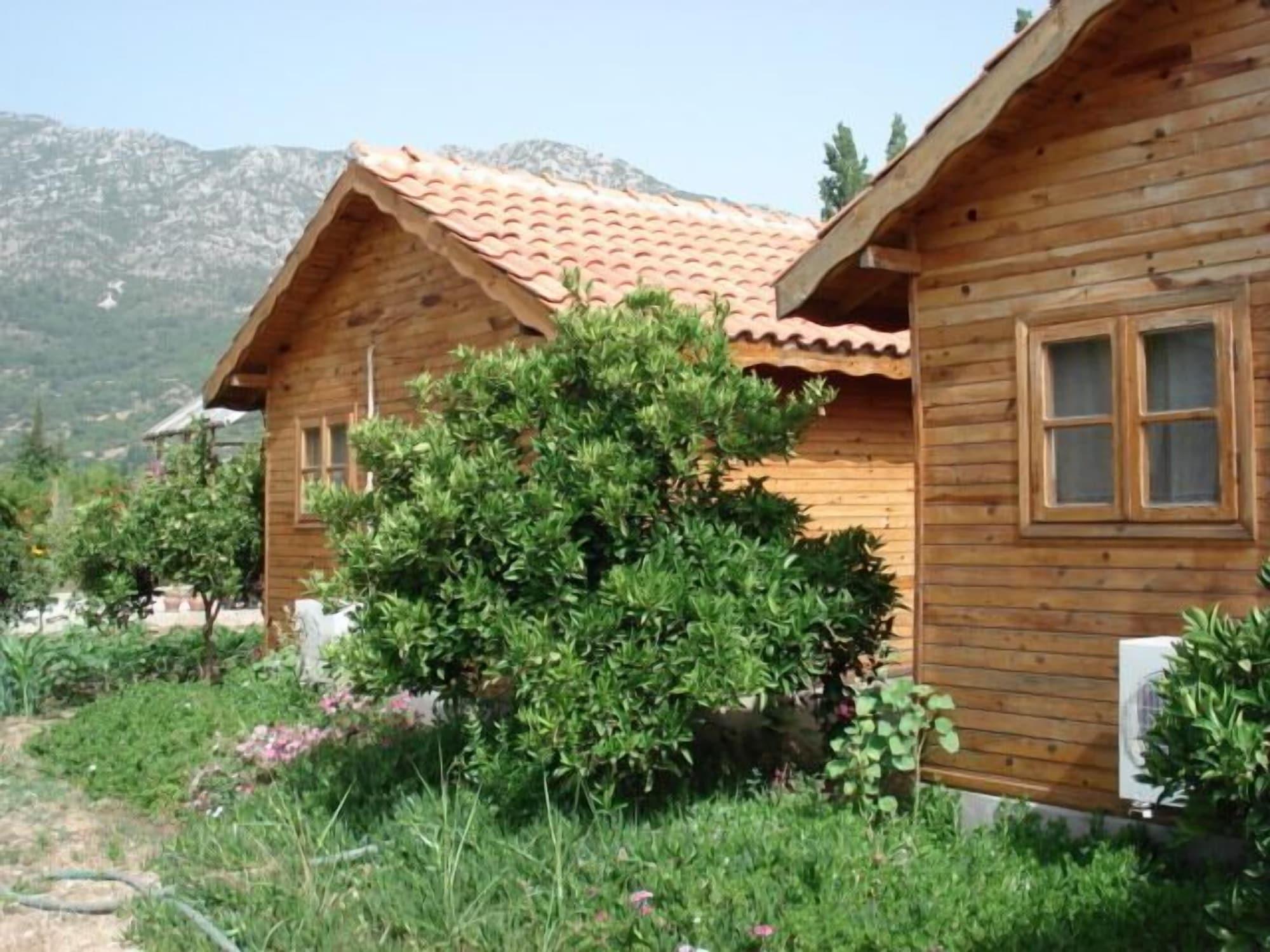 Portakal Bahcesi 27/35