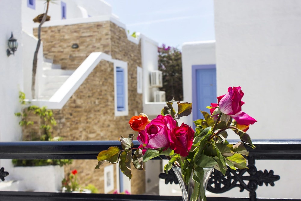 Naxos Holidays 19/64