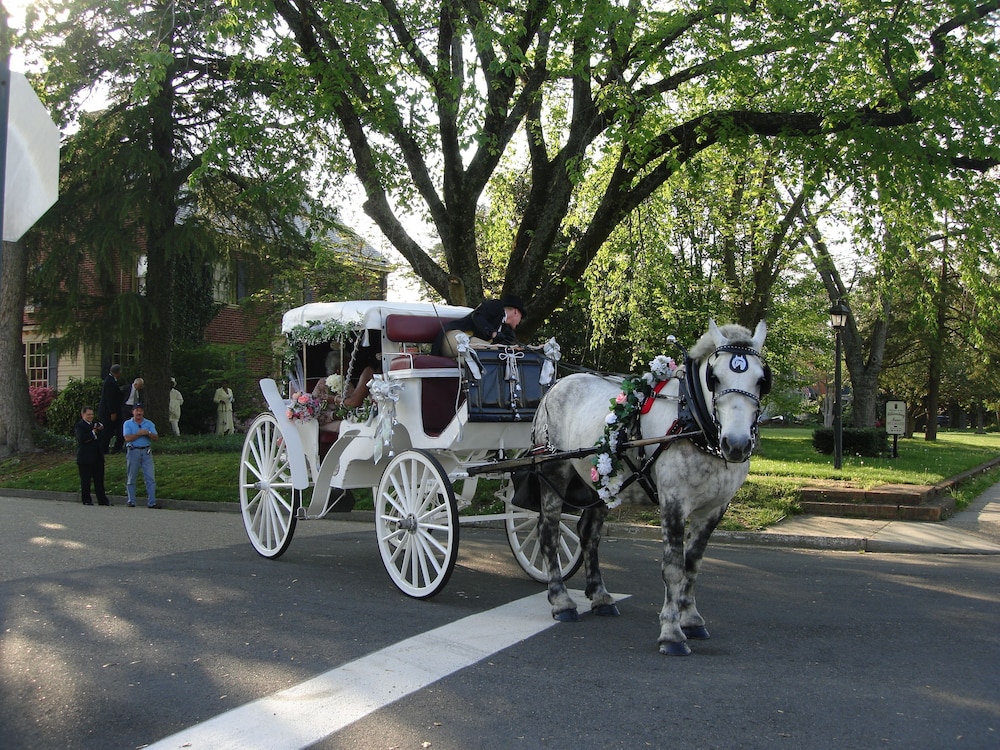 Williamsburg Manor B&amp;B 38/50