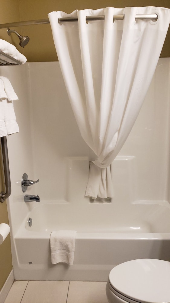 Microtel Inn And Suites By Wyndham Pecos 9/35