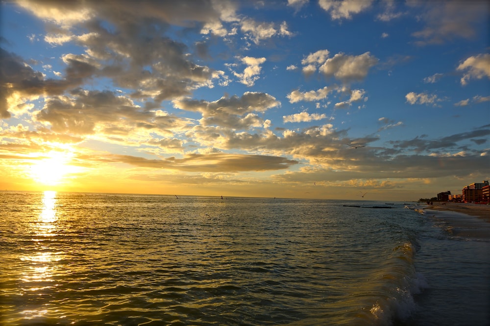 Shoreline Island Resort Exclusively Adult 35/50