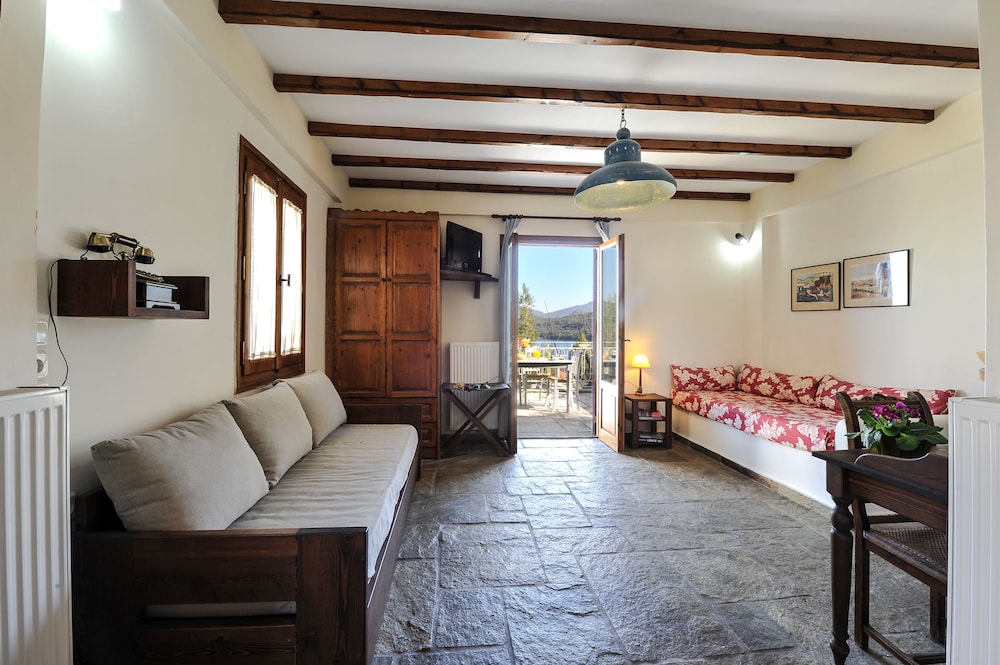Gera's Olive Grove 21/50