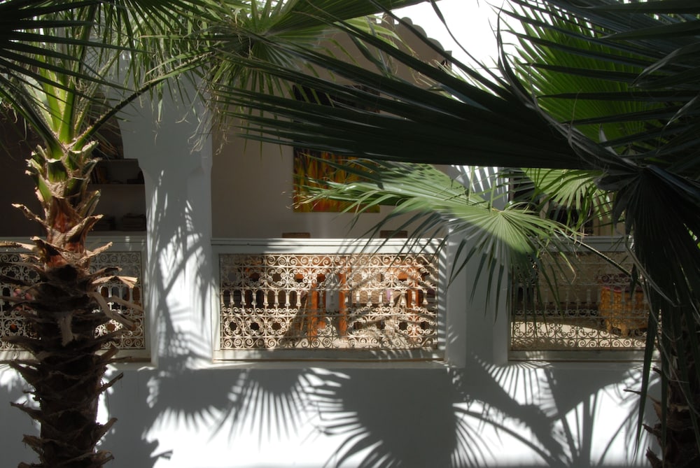Riad Vert 3/66
