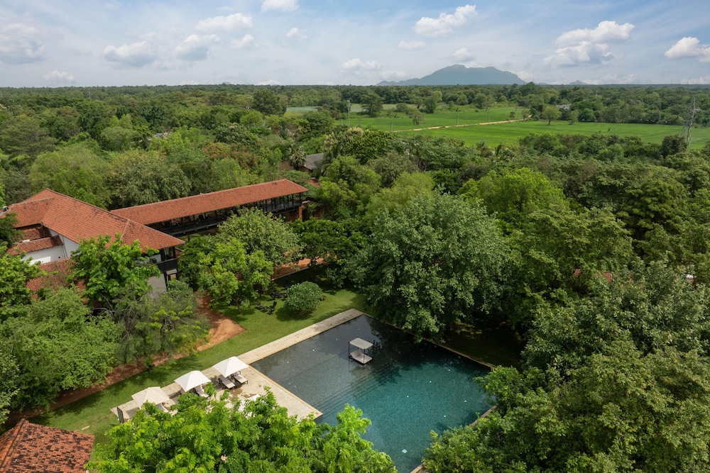 Sigiriya Jungles 43/50