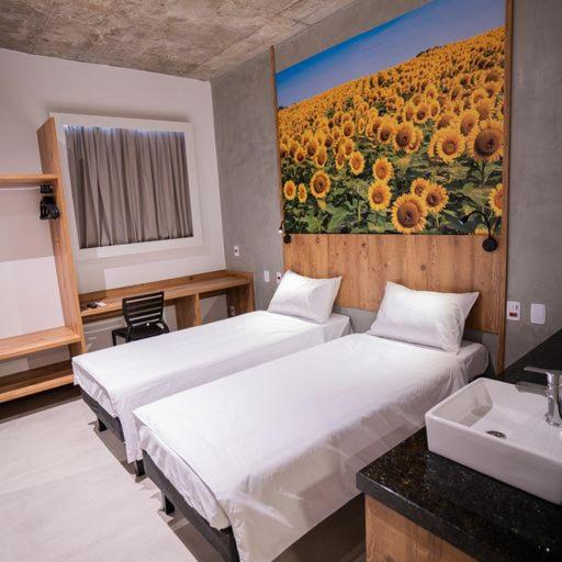 Campos de Holambra Inn 7/50