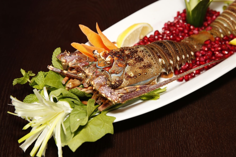 فندق ورويك الجبيل(Warwick Al Jubail Hotel) 20/70