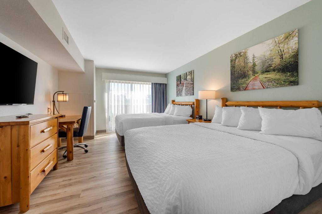 Efficiency, Suite, 2 Queen Beds