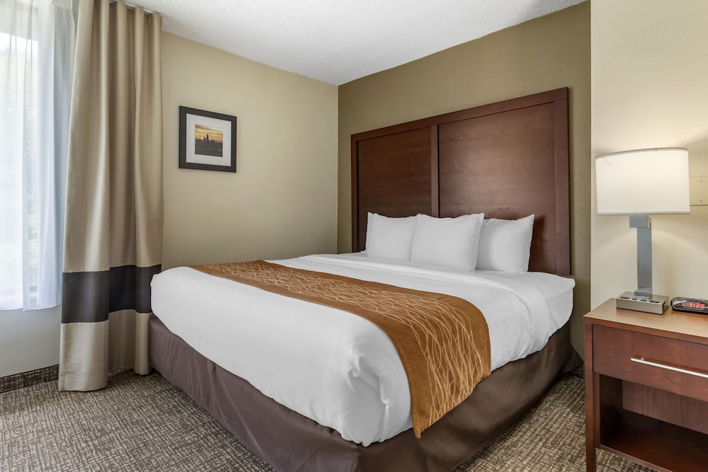 Comfort Inn Charlotte Airport Uptown 7/40