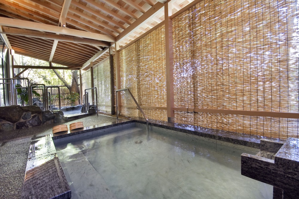 swimming pool spa