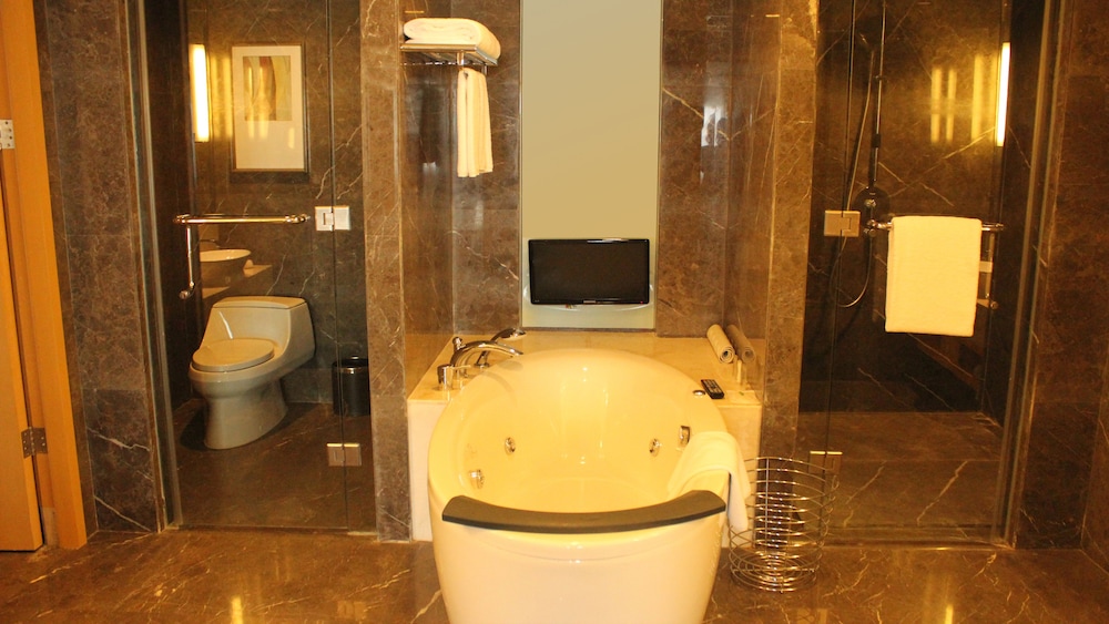 HOLIDAY INN SHIJIAZHUANG CENTRAL 62/77