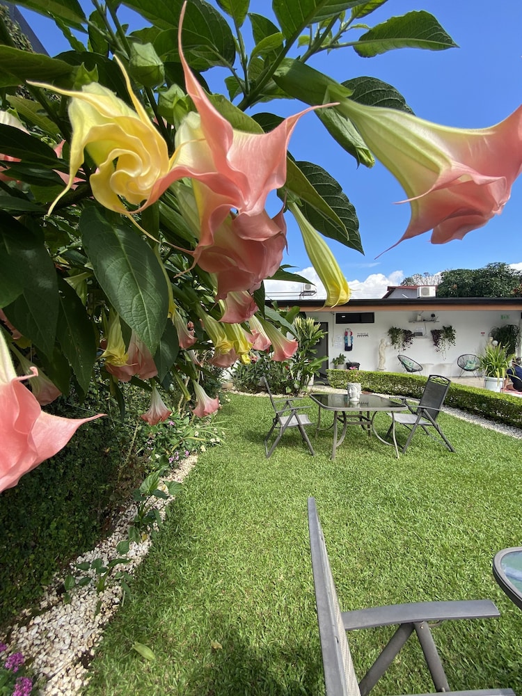 Berlor Airport Inn 48/50