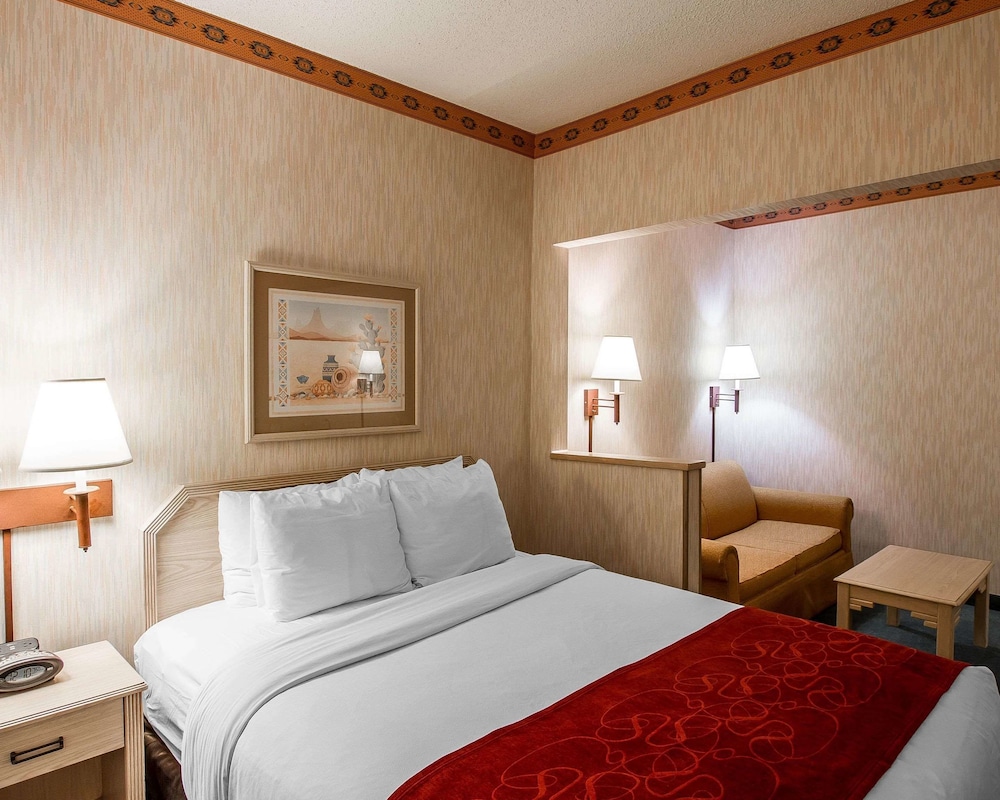 Comfort Suites Peoria Sports Complex 10/43