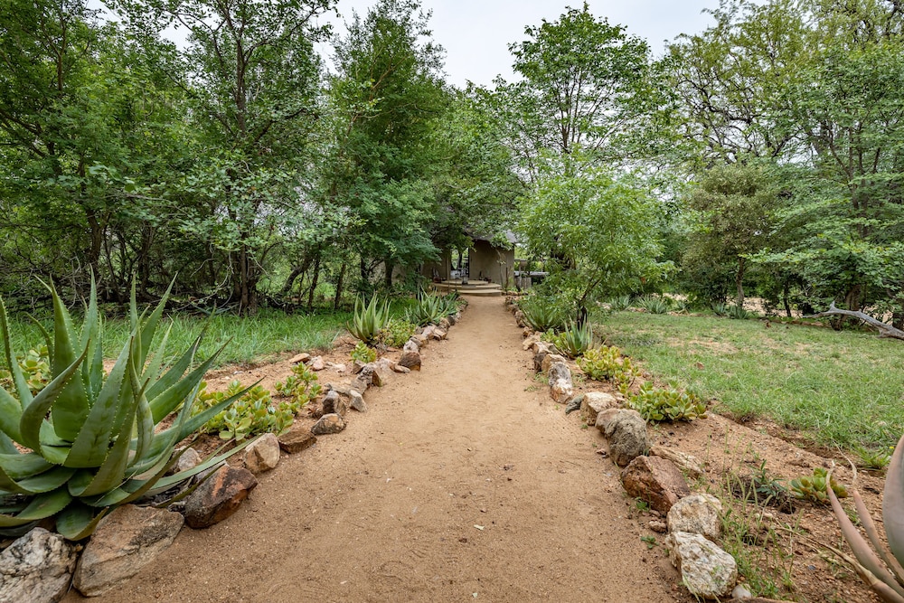 Umlani Bushcamp - Lodge 29/50