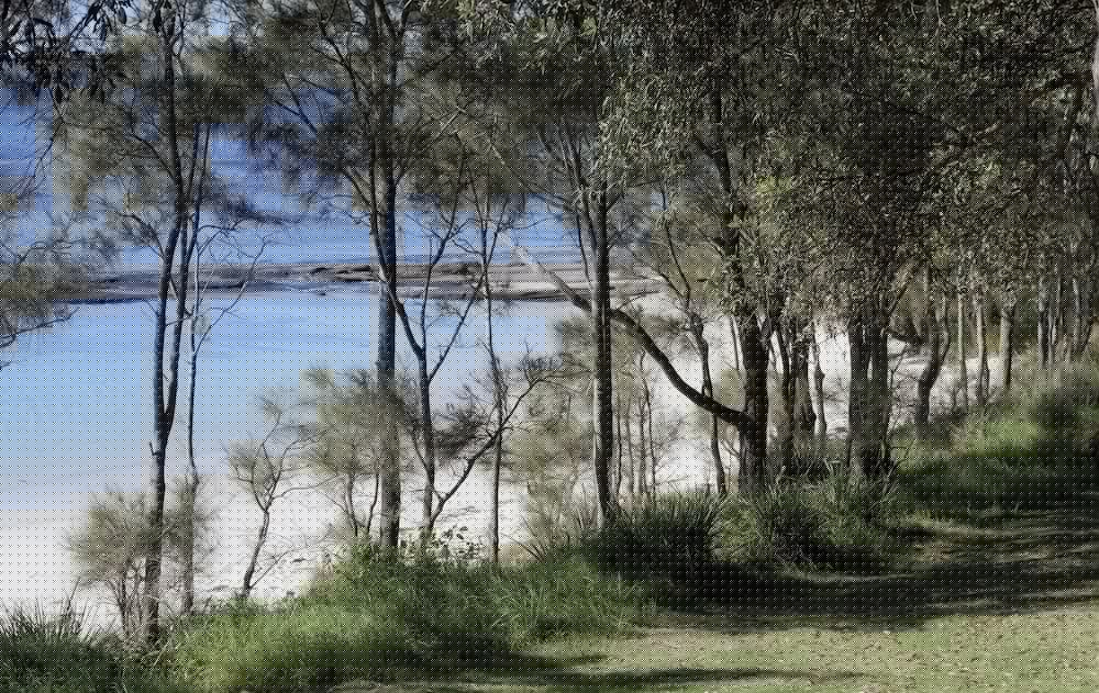 Huskisson Bayside Resort 26/33