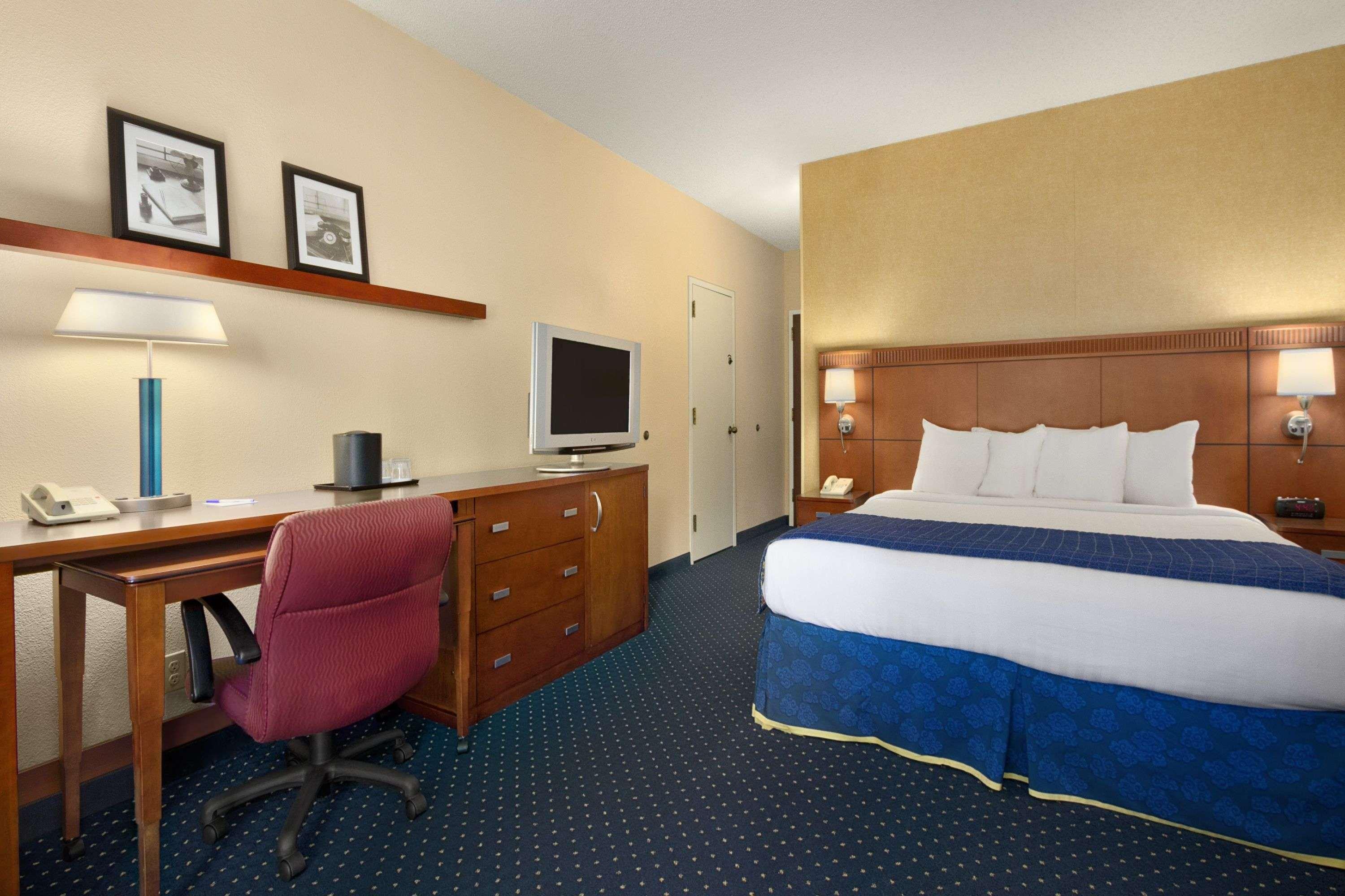 Room, King Bed