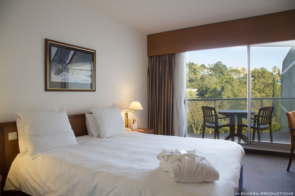 Hotel Cannes Montfleury 11/28
