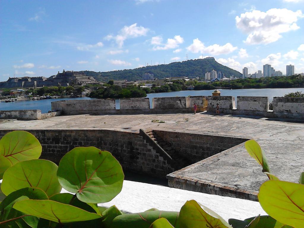 Patio de Getsemani 43/50
