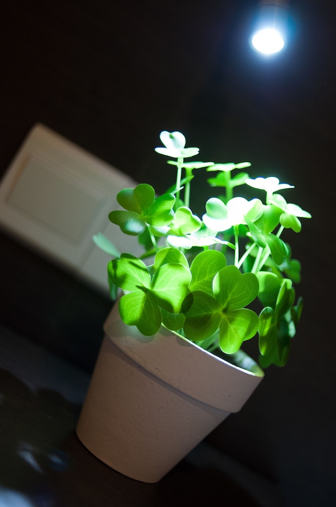 ホテル メッツォ 写真5