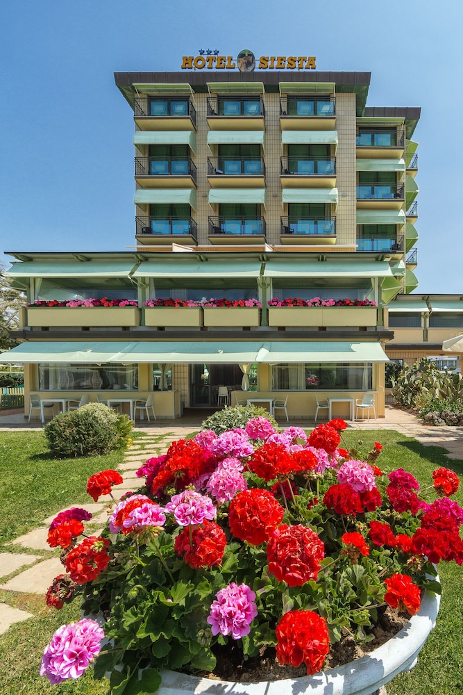 Hotel Siesta 6/66