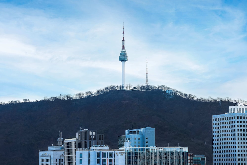 Hotel The Botanik Sewoon Myeongdong 61/65