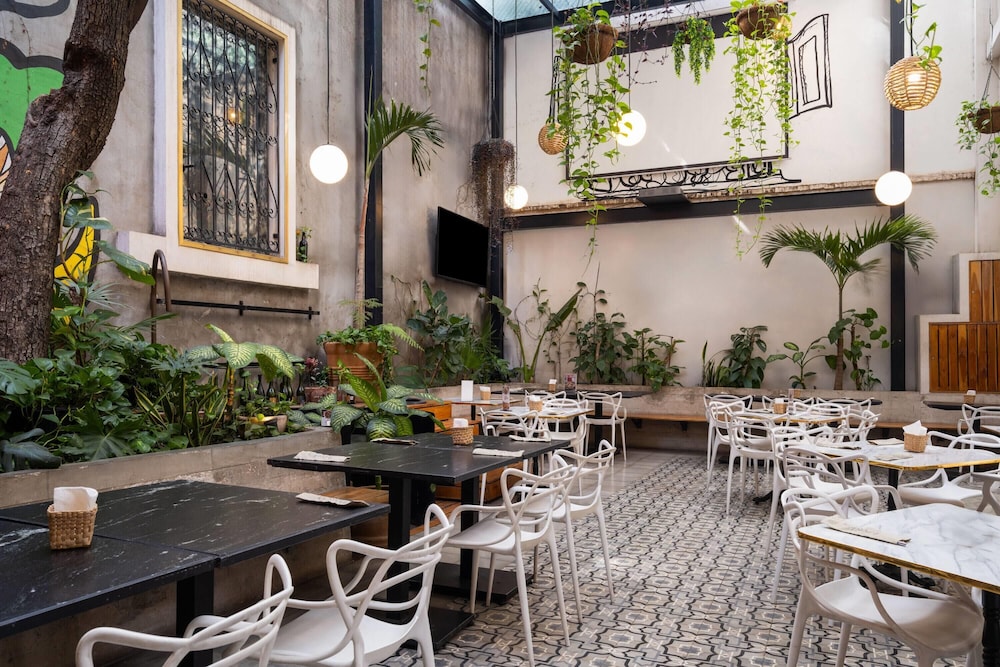 Hotel MX condesa CDMX, Trademark Collection by Wyndham 35/50