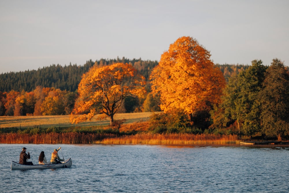 Asa Herrgård 35/50