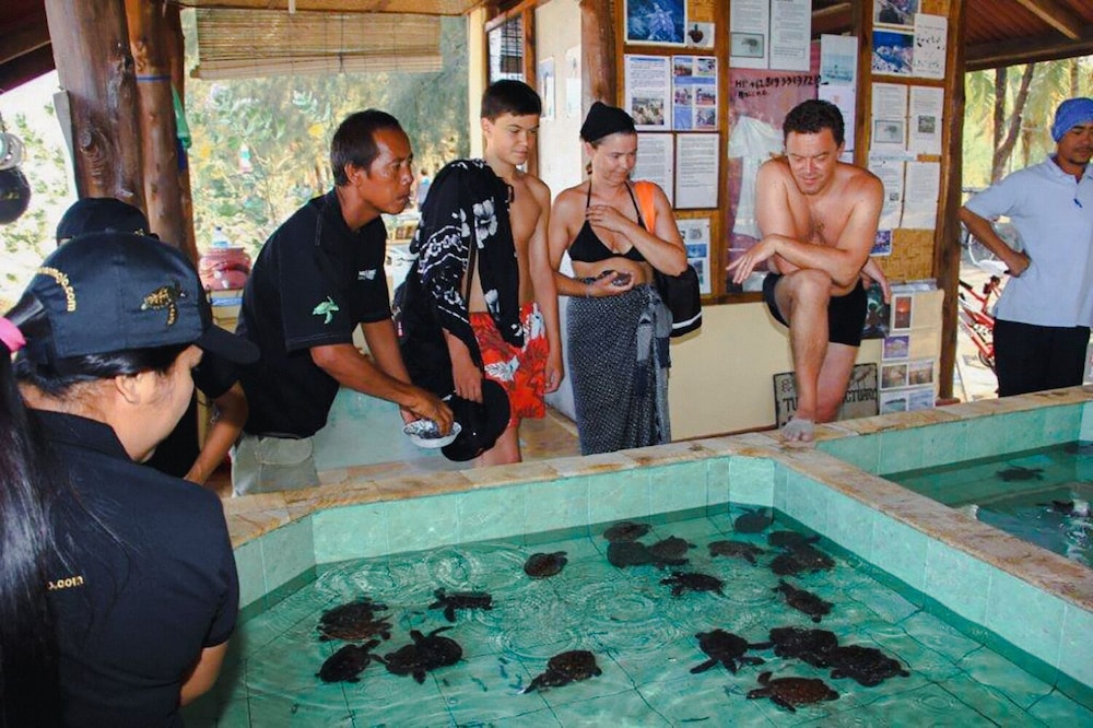 Kura Kura Resort Gili Meno 30/65