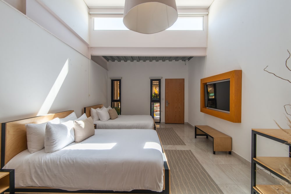 Mayan Monkey Los Cabos 15/50