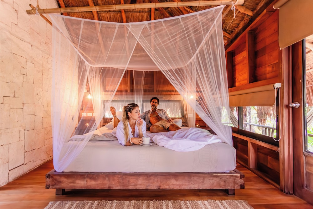 Vida Silvestre Tulum 15/50