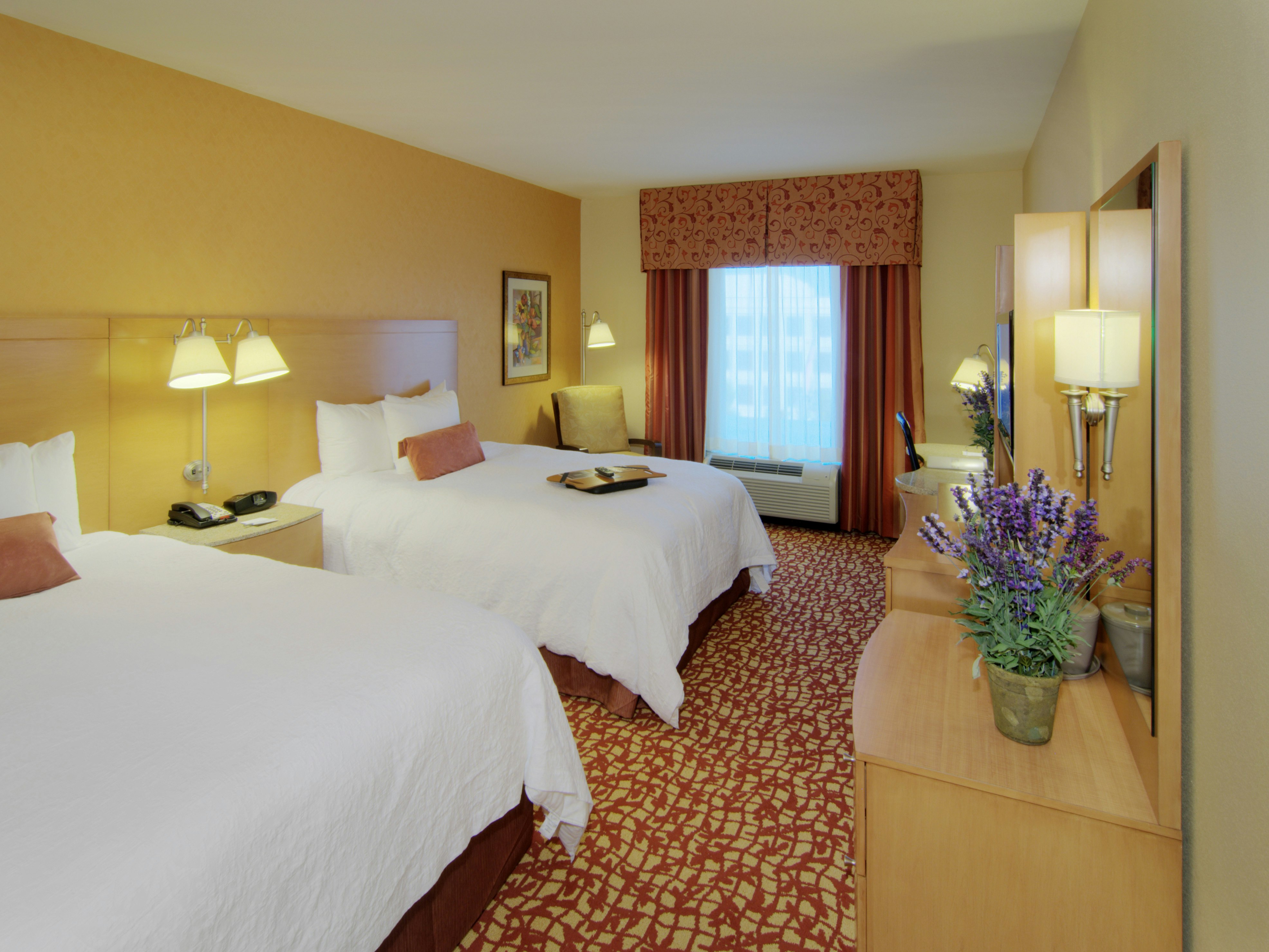Hampton Inn & Suites Raleigh-durham Airport-Brier Creek 24/73