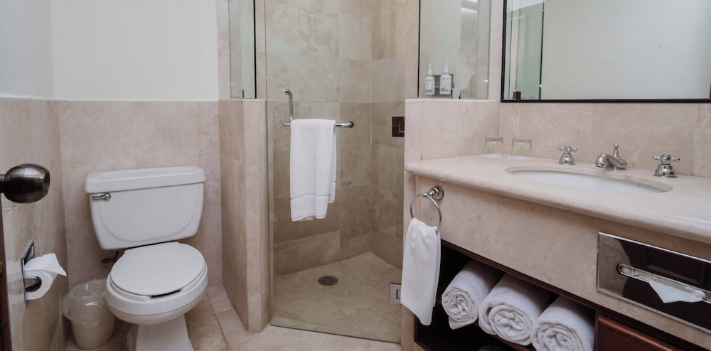 HS HOTSSON Hotel Tampico 55/55
