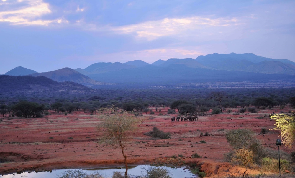 Kilaguni Serena Safari Lodge 41/50