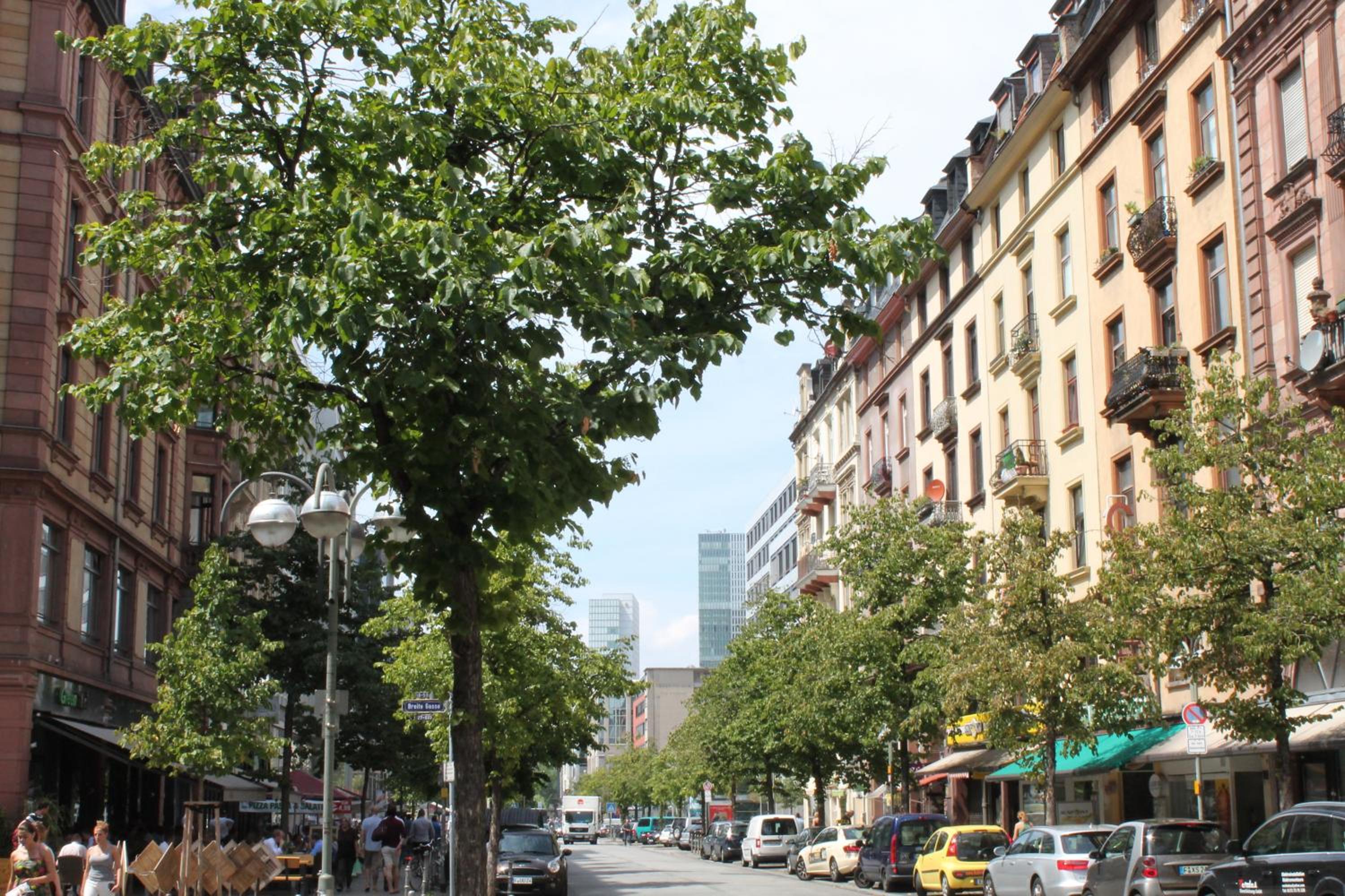 Zeil 46/50