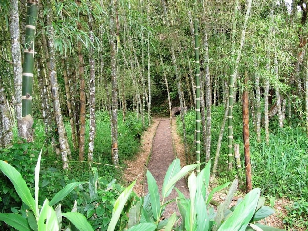 Hosteria Sumak Pakari photo 3