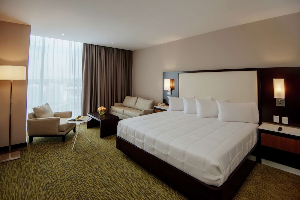 Hilton Garden Inn Puebla Angelopolis 11/50