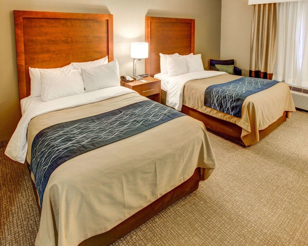 ROOM, 2 DOUBLE BEDS, ACCESSIBLE